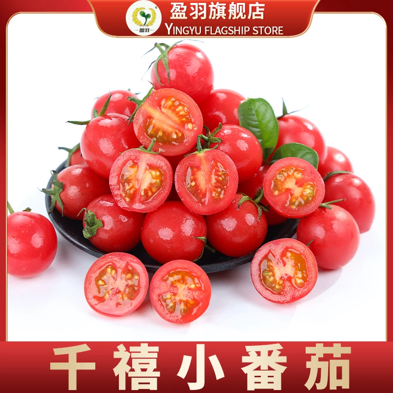 【盈羽】山东千禧小番茄3斤装(80-150个)
