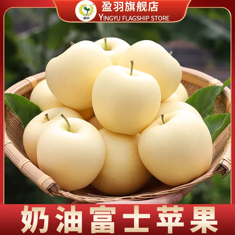 【盈羽】山东奶油富士苹果4.5斤装 （9-12个）/（6-9个）