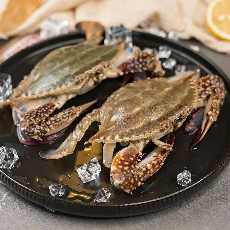 吕四渔港 冰鲜小娘蟹 精挑细选  90%可以蒸 平均3~4只/斤 顺丰