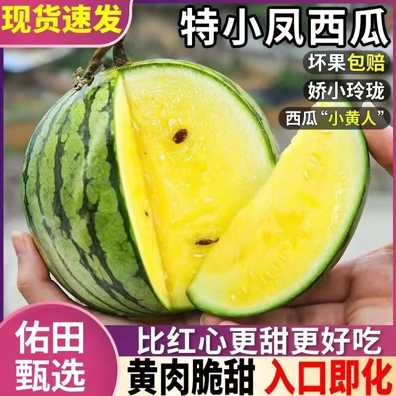 东台特小凤西瓜黄西瓜当季皮薄脆甜多汁3斤/5斤装【京东包邮】