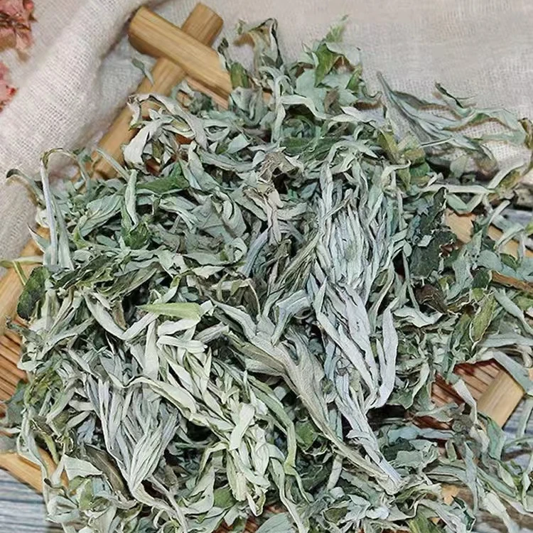 福建新鲜艾叶清香250克包邮