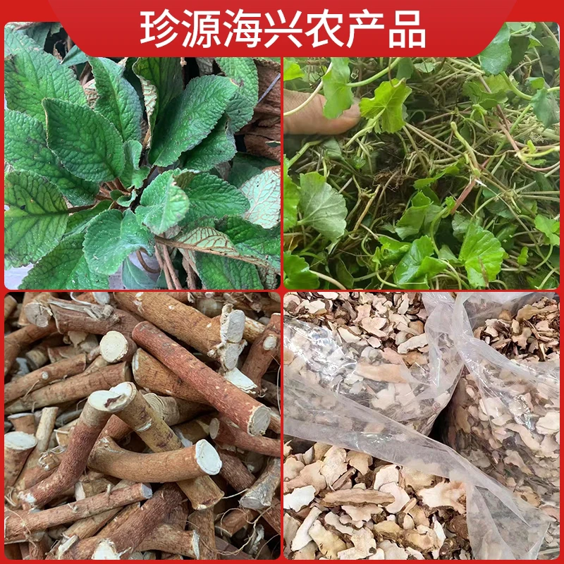 海兴农产品瓜果蔬菜直播间自由拍链接土特产