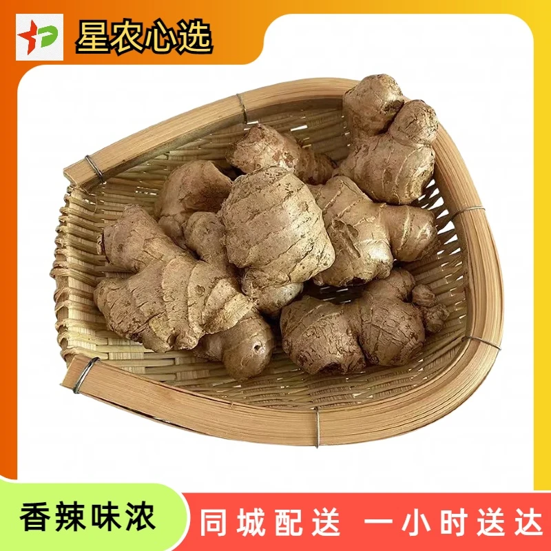 生姜约500g