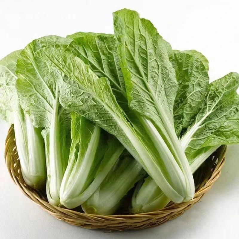 小白菜约1000g