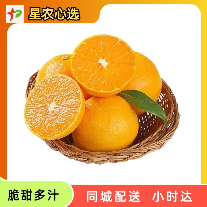 爱媛果冻橙约1000g