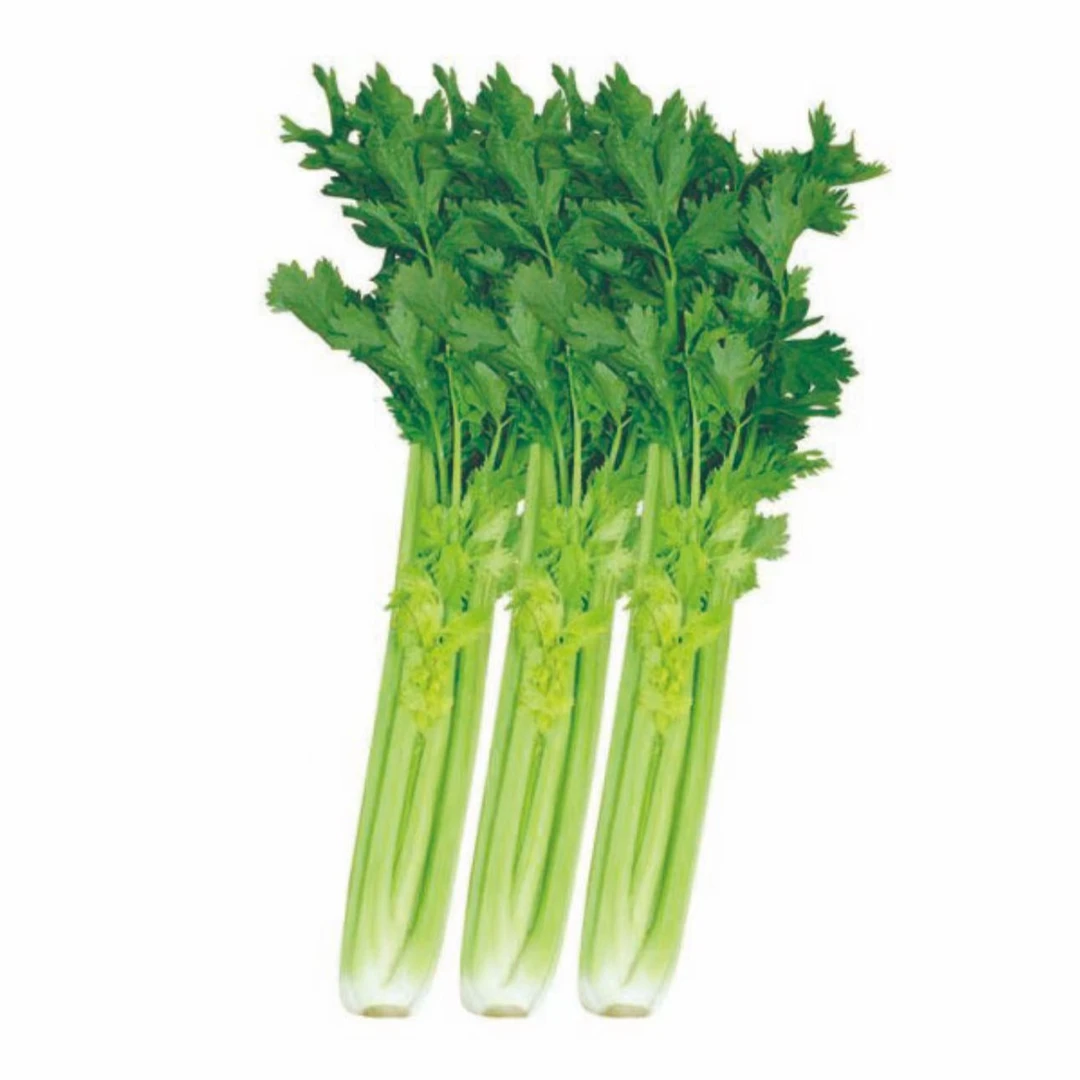 芹菜约500g【星火集市】芹菜