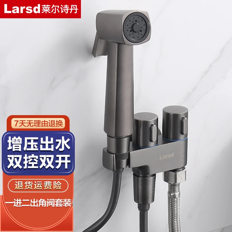 莱尔诗丹马桶喷水枪套装马桶伴侣一进二出角阀卫生间增压冲洗喷枪