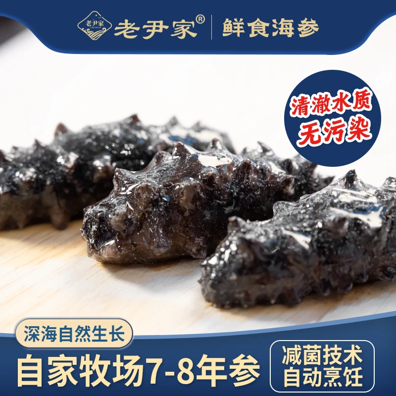 【老尹家】海参两斤(28-32头)鲜食海参海底播参500g/袋品质口感
