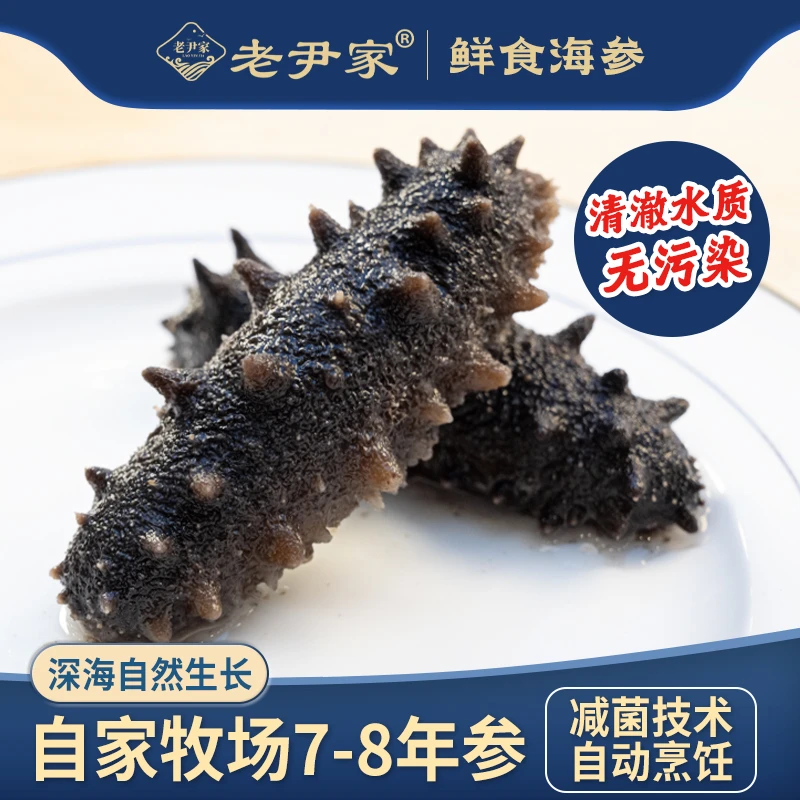【老尹家】鲜食海参四斤（56-64头）深海底播参500g/袋品质口感