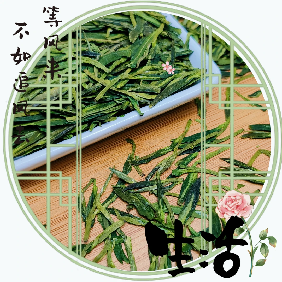 龙井茶叶新茶春茶口粮茶栗香鲜爽