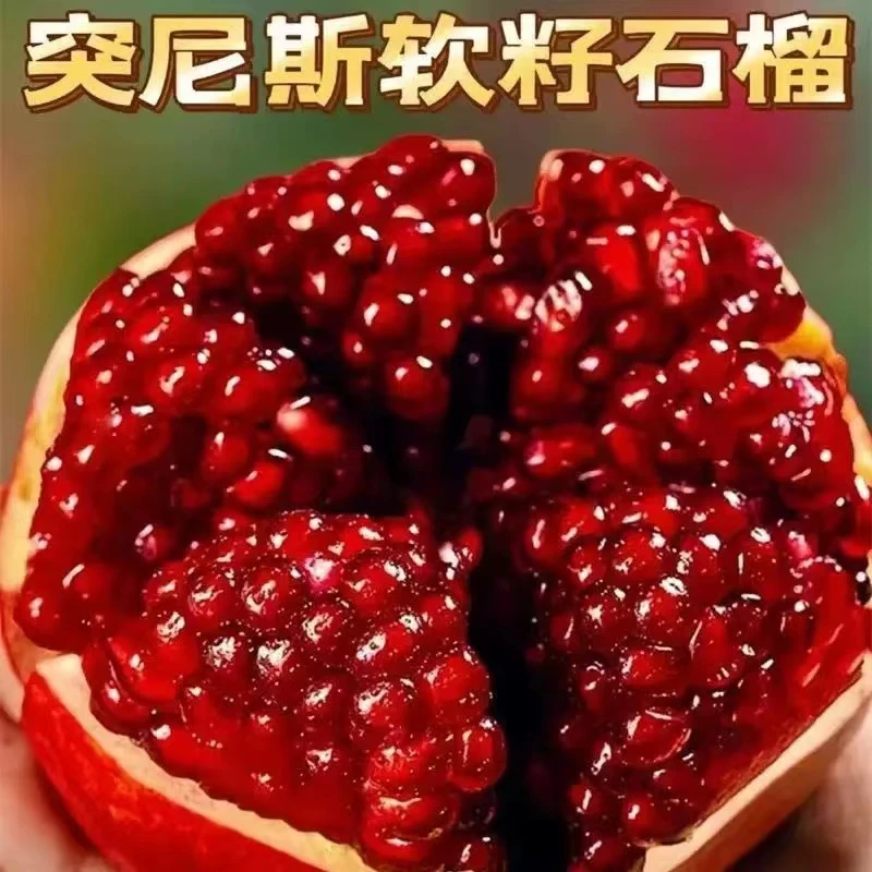 四川会理突尼斯软籽石榴带箱5斤200克+水果新鲜现摘现发坏果包赔