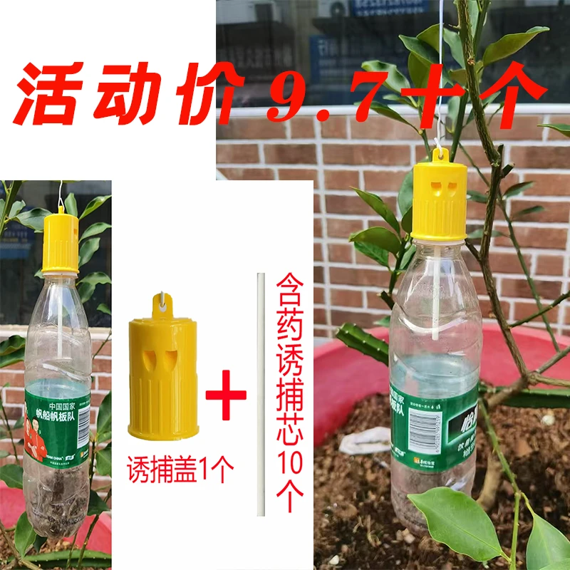 新一代果实蝇诱捕器果实蝇捕捉瓜实蝇捕捉金桔柑橘瓜果防虫农用