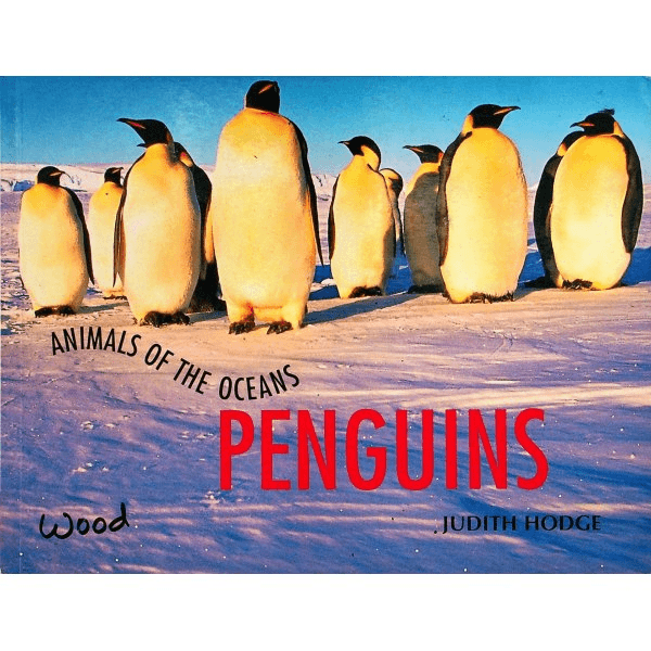 原版儿童绘本7-10岁平装Penguins (Animals