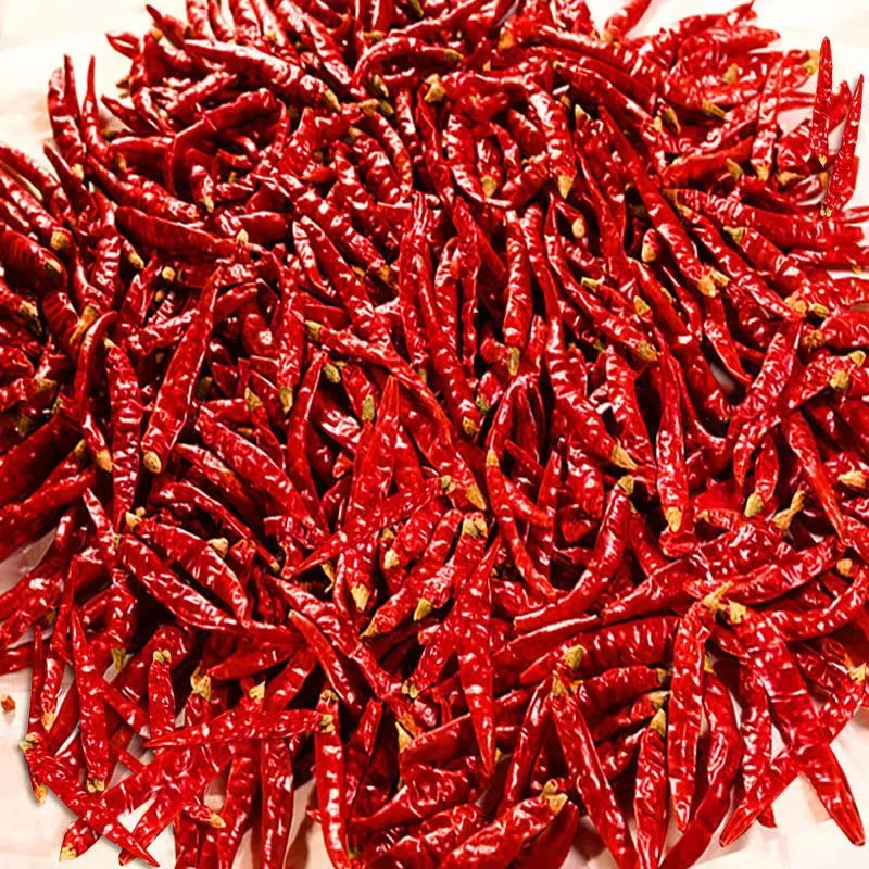 特辣小米椒印度椒魔鬼椒批发超辣椒粉辣椒面采摘红干辣椒段朝天椒