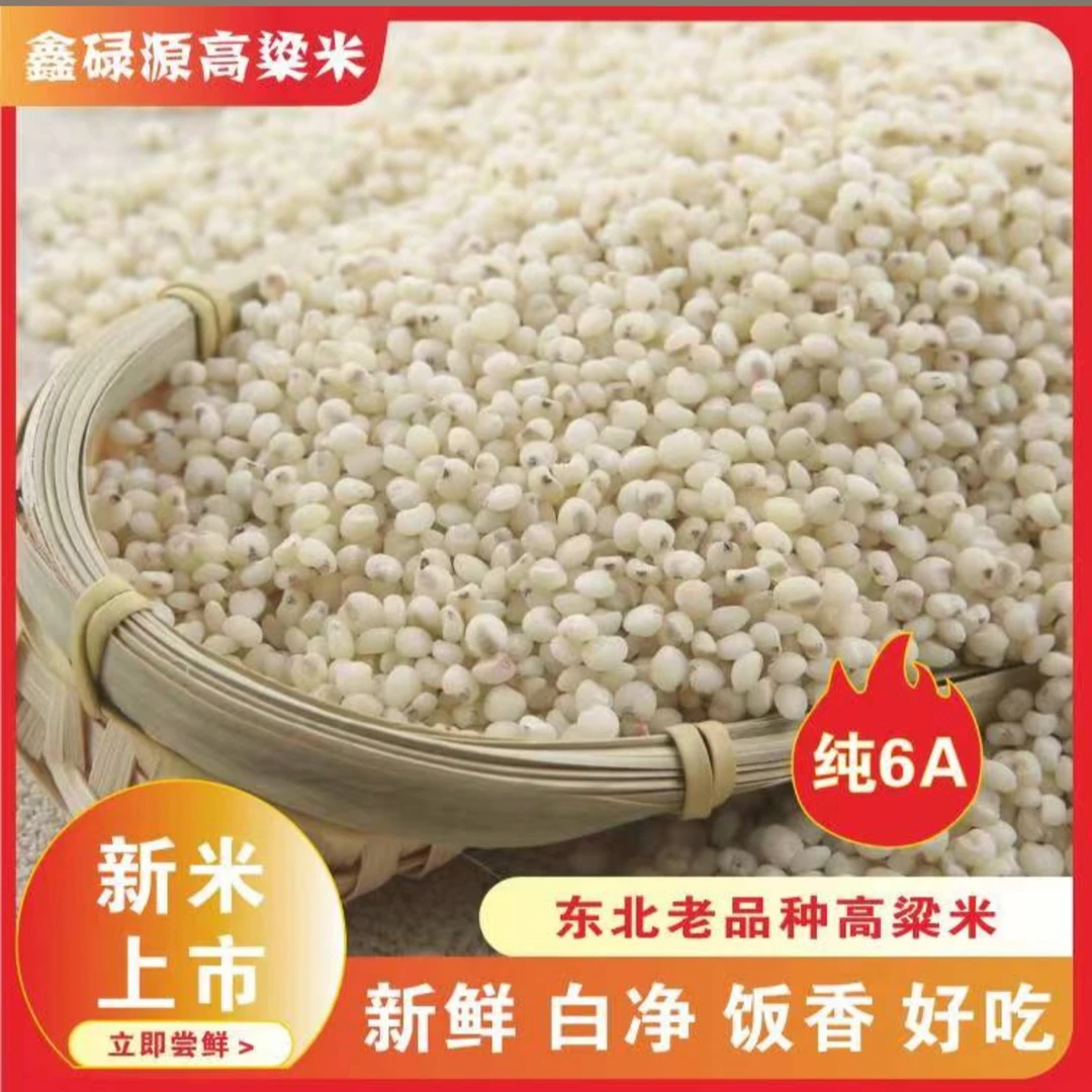 东北朝阳有机高粱米