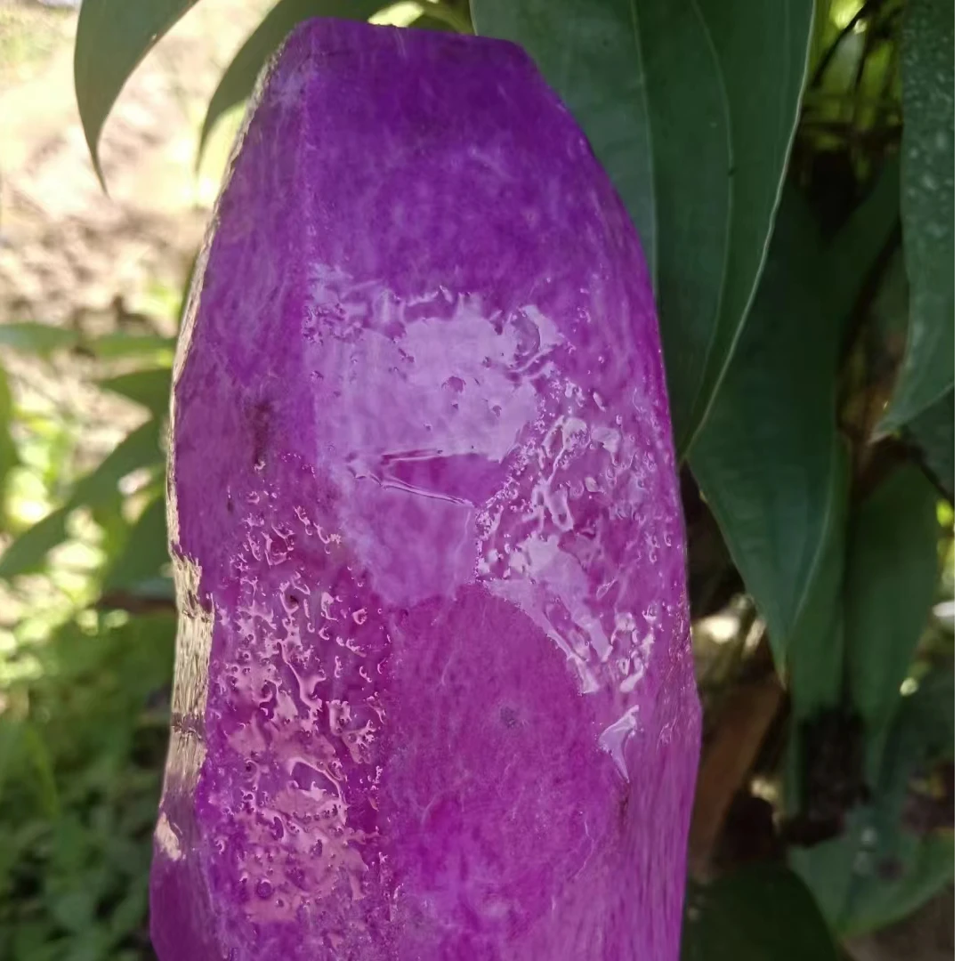 【乡振邦】赣南紫山药紫人参富含花青素地方特色产品顺丰包邮