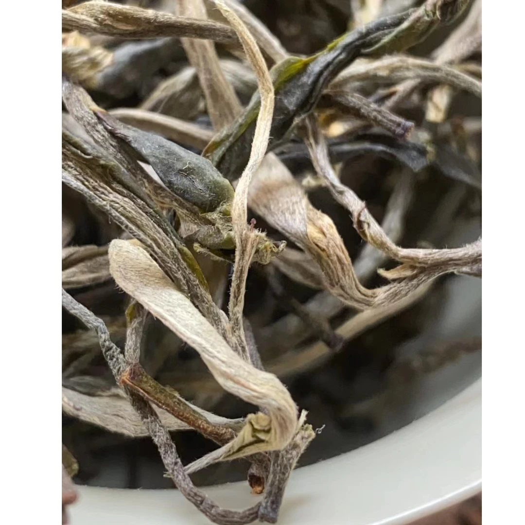 忙肺正山古树春茶 兰花香 临沧老班章  9.9分适高货资深玩家品鉴