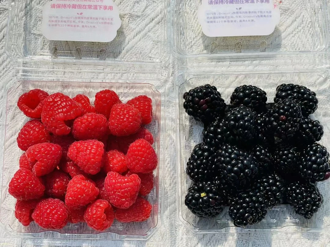 怡颗莓树莓黑莓双拼礼盒6盒装,3盒树莓加3盒黑莓, 个大新鲜,果实味道酸甜,让你爱上每一口酸甜好滋味