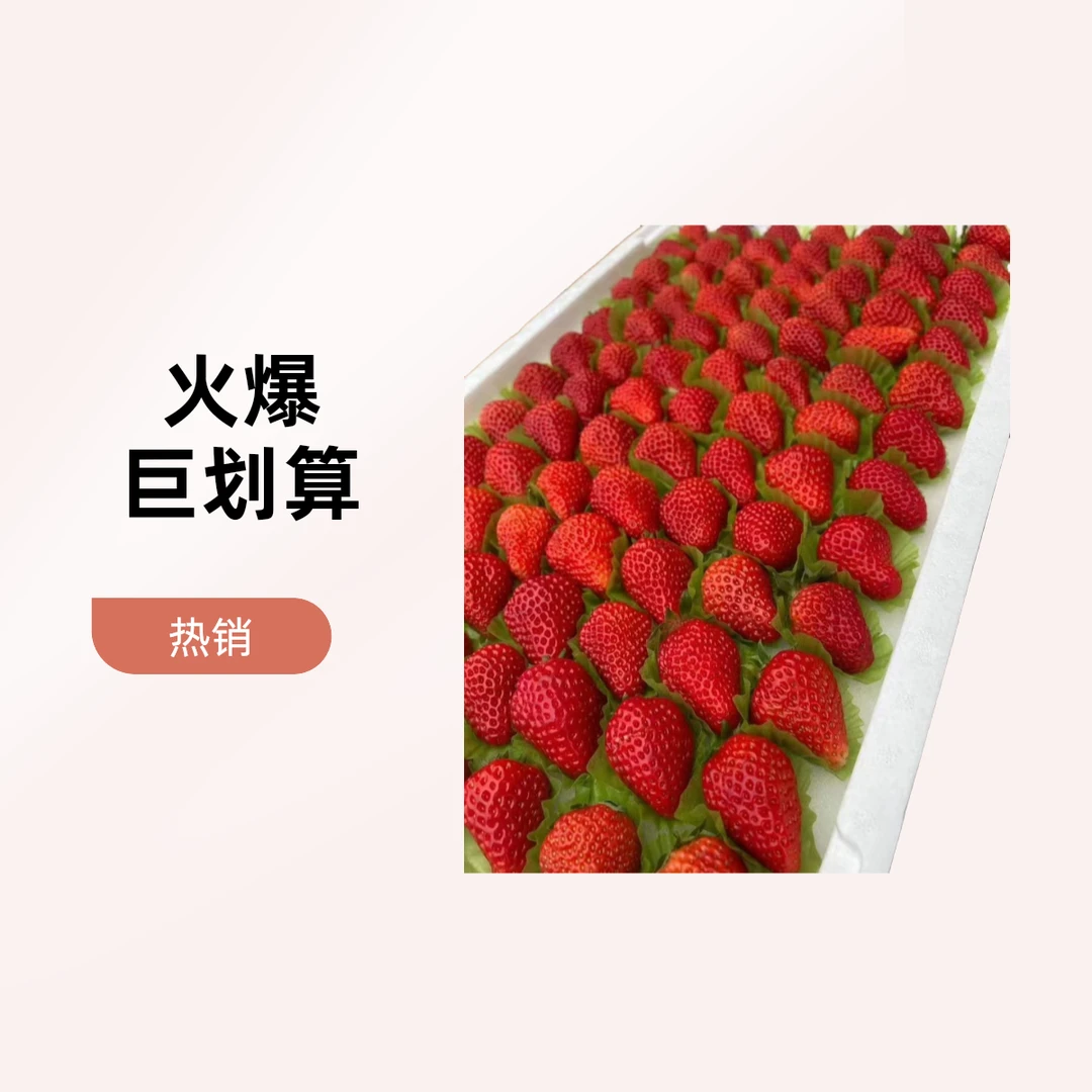 闪送到家丹东99红颜大板草莓5.5到6斤毛重，每一颗都是流畅的水滴状，隔着屏幕都仿佛闻到浓郁的甜香