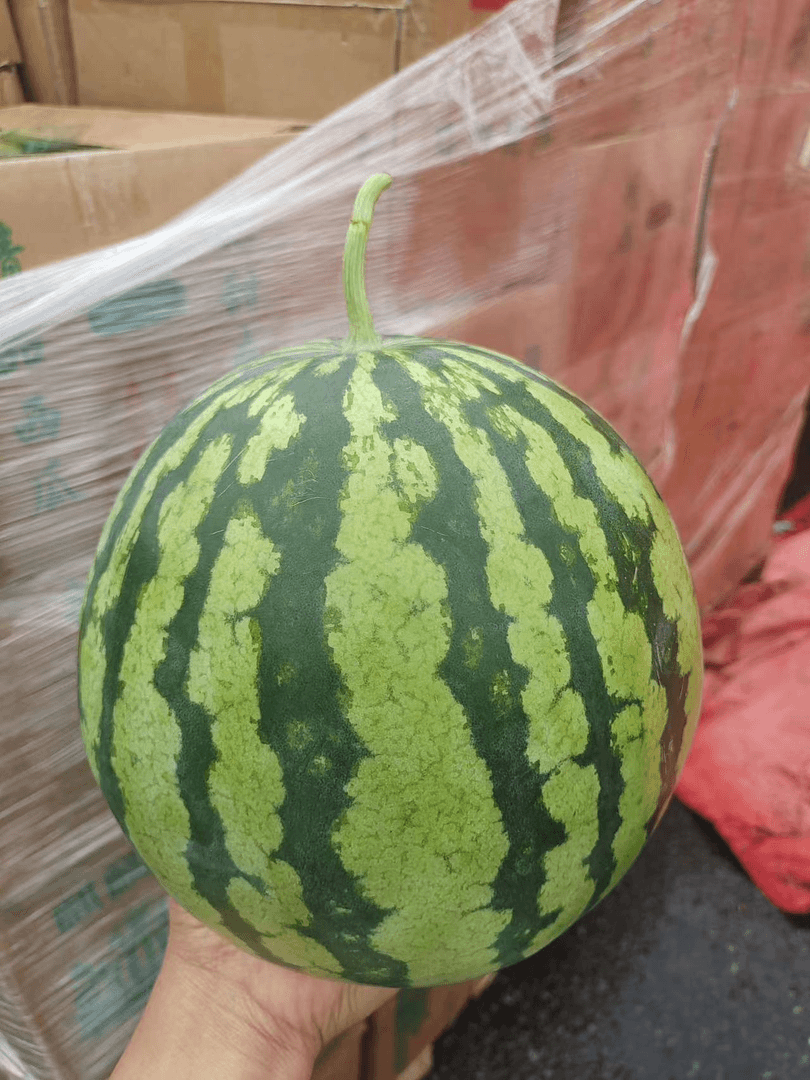 麒麟西瓜4枚20斤，纯正一腾一瓜，脆甜爆汁，来个西瓜劲爽一夏天