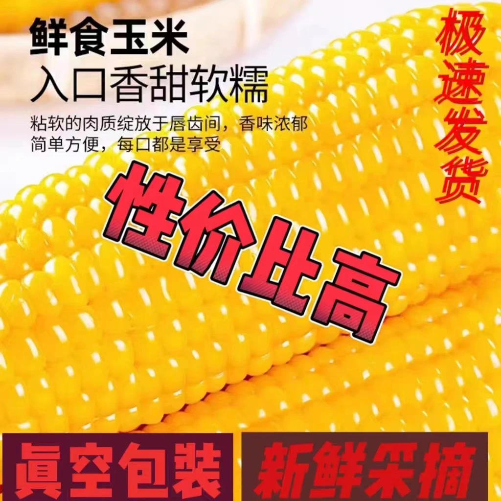 烁鼎源2025新糯玉米300克左右10棒整箱6斤