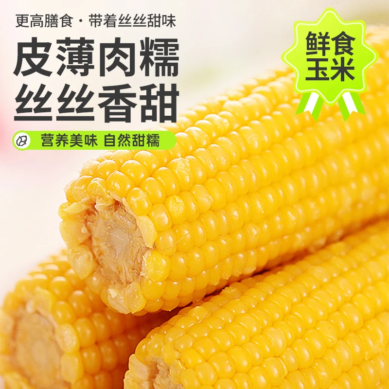 2025东北黄糯玉米280克左右10棒整箱