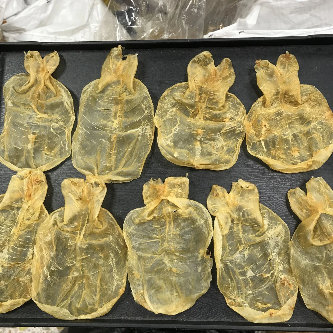40头甲肚片 蜘蛛片 日常滋补胶 250克-500克