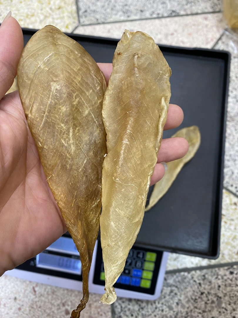 40头野白花胶公胶 临时改价链接 重量以直播间为准0-500克