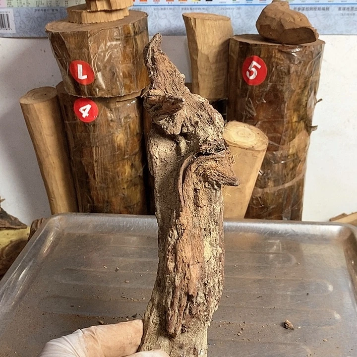 黄花梨/降香黄檀潘*