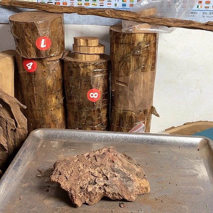 黄花梨/降香黄檀若*