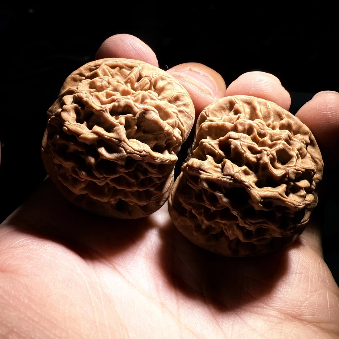 秦岭秦闷狮子头核桃（有点水尖介意勿拍）