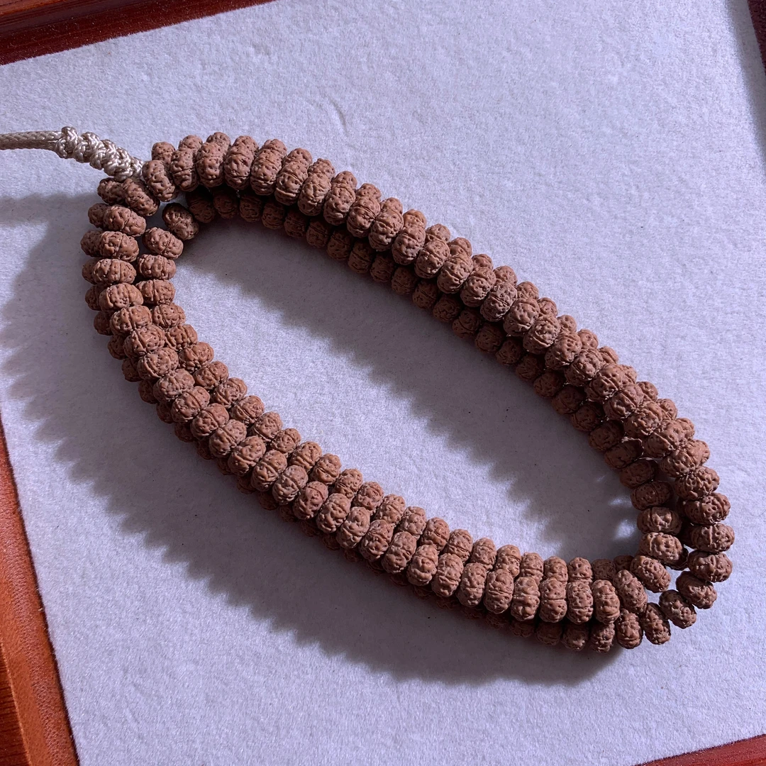 「六瓣涅槃」高端勿里达籽天然矮桩毕业菩提