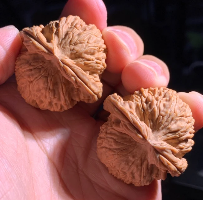 福袋 毕业核桃一对