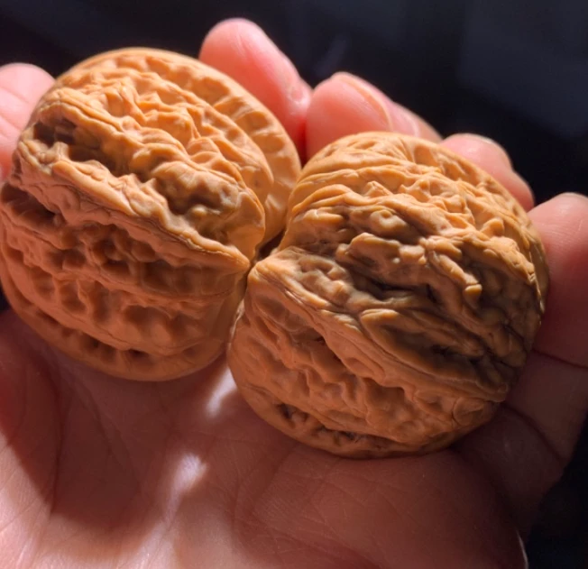 福袋 平谷九龙核桃一对