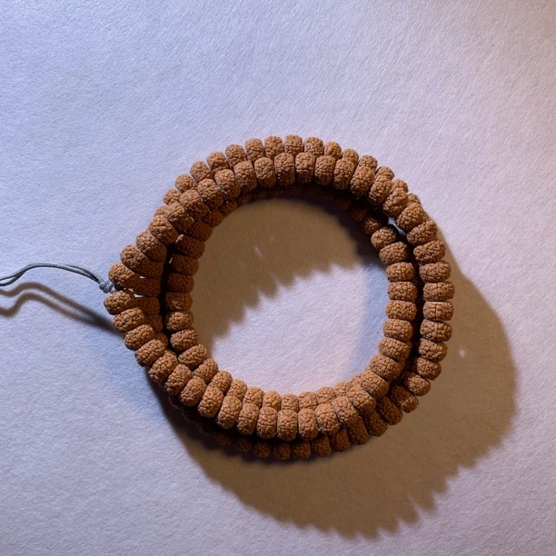 「龙切龙鳞王」小金刚菩提籽