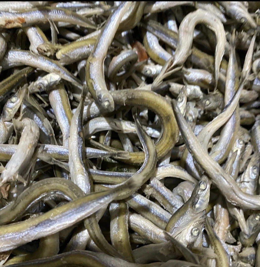 渤海湾银针鱼不咸