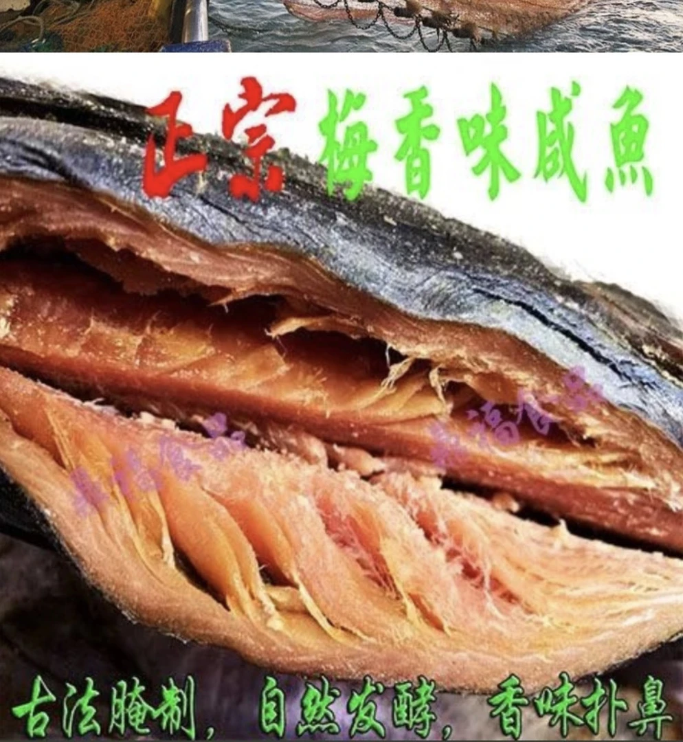 发酵的老咸鱼梅香鲅鱼