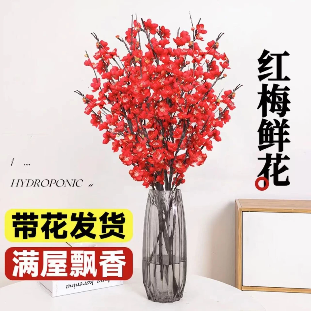 浓香型腊梅冬天爆花水培鲜切红梅花干枝超长摆放飘香制作开花品牌