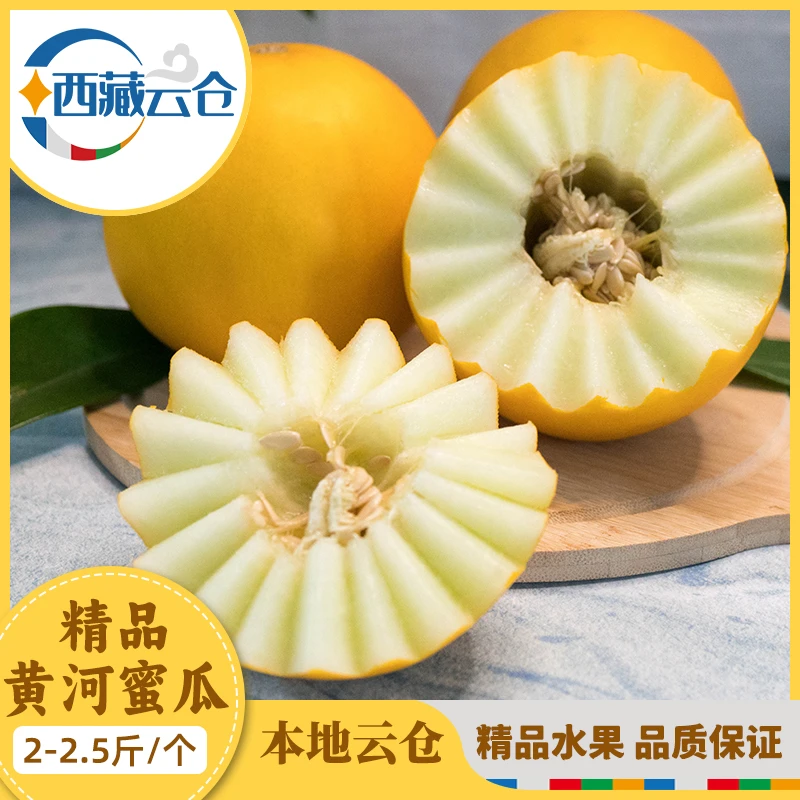 民勤黄河蜜瓜黄金冰糖香瓜时令当季新鲜水果甜瓜伊丽莎白黄皮瓜