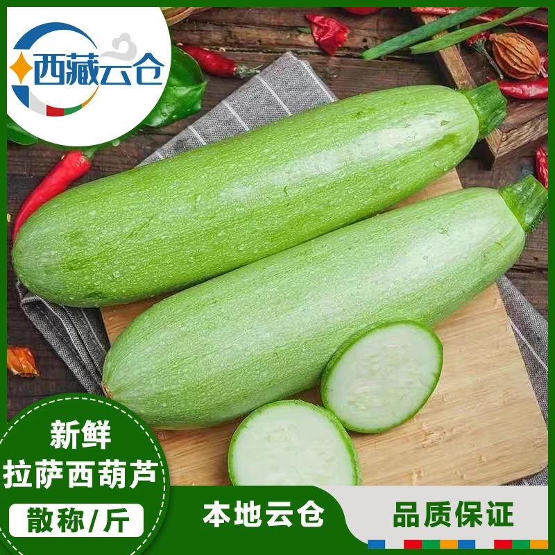 【西葫芦3斤】菜瓜农场直发新鲜当季蔬菜脆嫩可口当季蔬菜