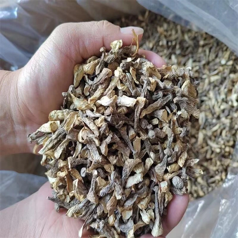 【啊啦优选】鹿茸菇嫩仔菇脆脆菇一斤