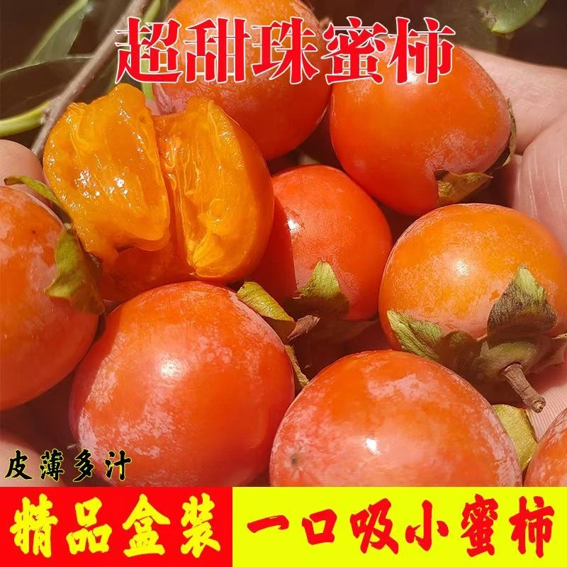 山西火晶柿子软蜜柿应季新鲜水果小柿子火葫芦水晶柿子产地直发