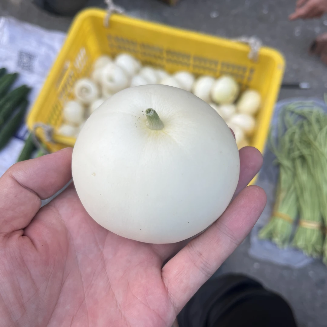 枧塘香瓜全州特产5斤装全国顺丰快递包邮