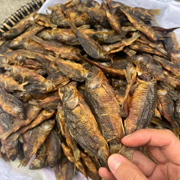 全州腊鱼禾花鱼500克包邮小鲤鱼禾花鱼1斤烘出2两8［全州飞玲特产］