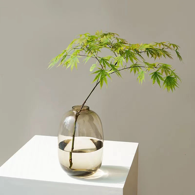 简约设计家居生活马醉木大肚玻璃透明水养客厅插花落地喜悦花瓶