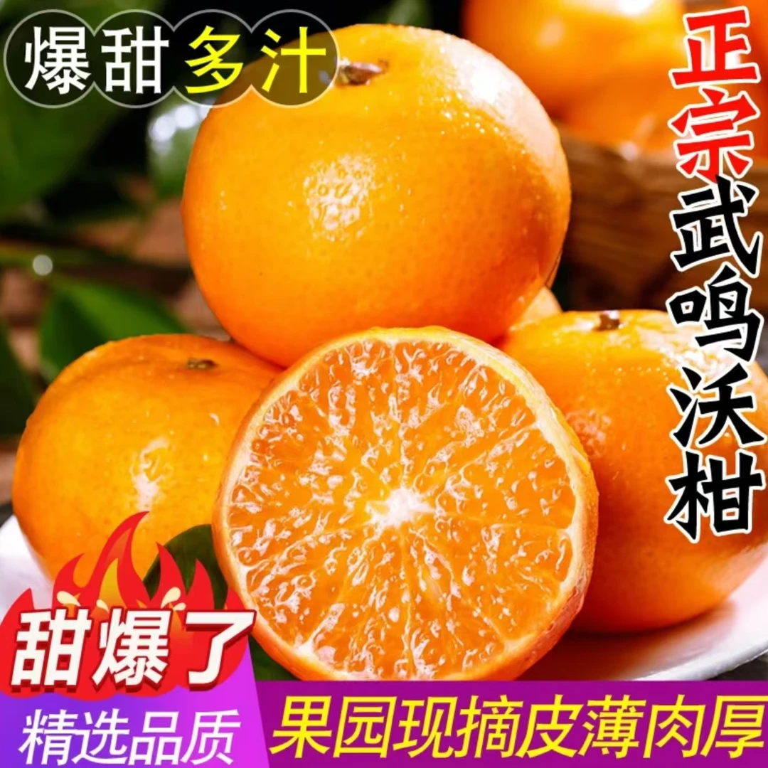 正宗广西武鸣沃柑纯甜多汁【农家现摘现发】橘子