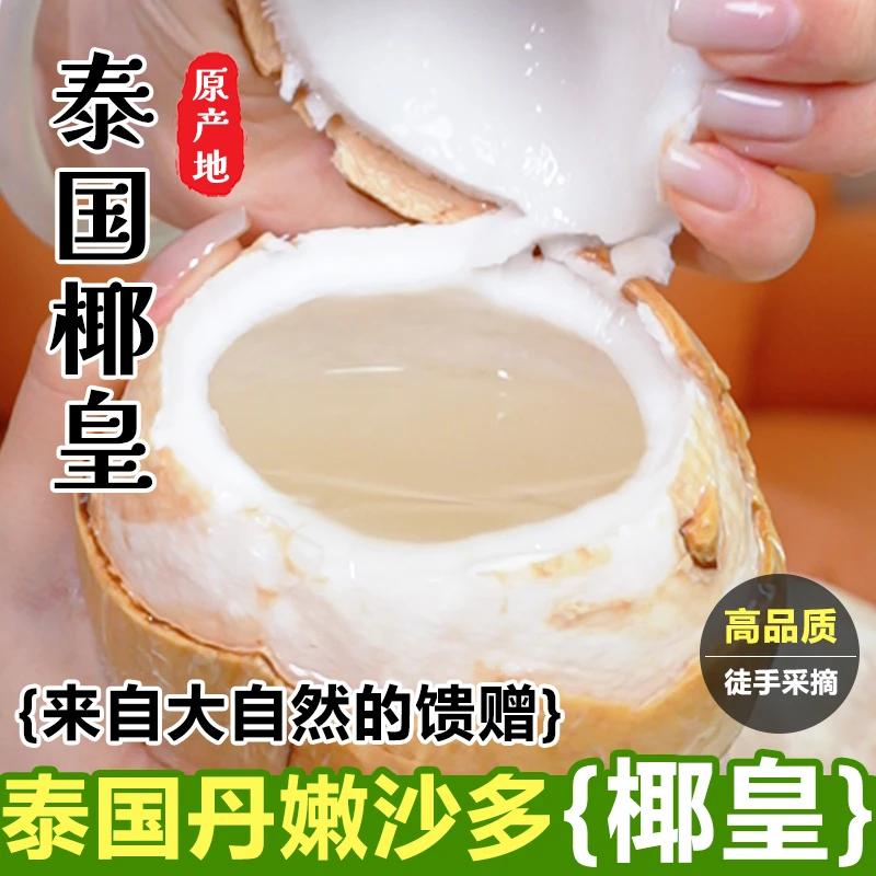 泰国椰皇椰青丹嫩沙多牛奶椰皇6/9颗装/单果350g-700g/顺丰包邮