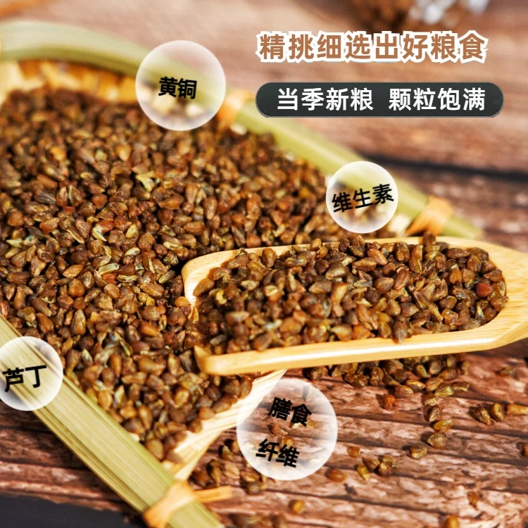 云南特产农家苦荞米高原杂粮厂家严选饱满大颗粒主食低脂新鲜营养