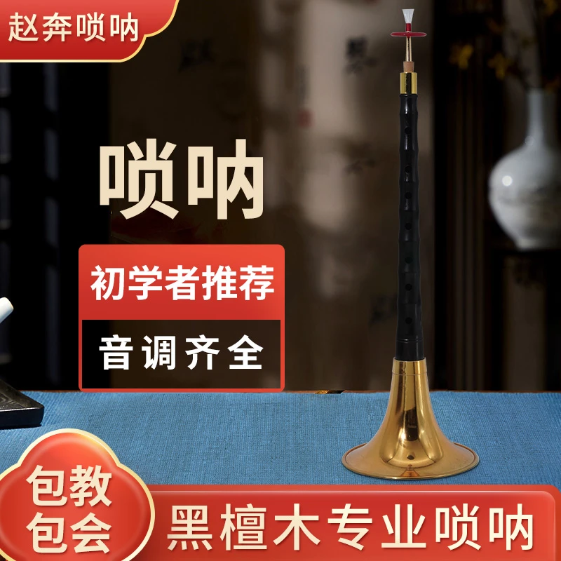 新手入门零基础唢呐D调专业演奏黑檀送课程教学群成人初学者