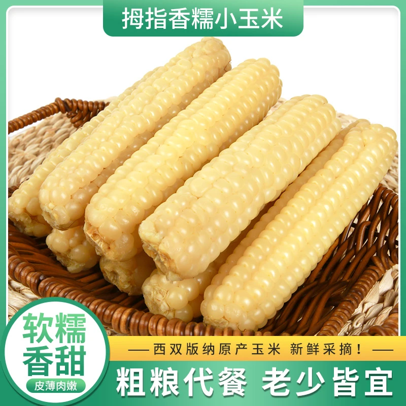 【老品种拇指小玉米】西双版纳新鲜采摘真空包装即食软糯皮薄辅食